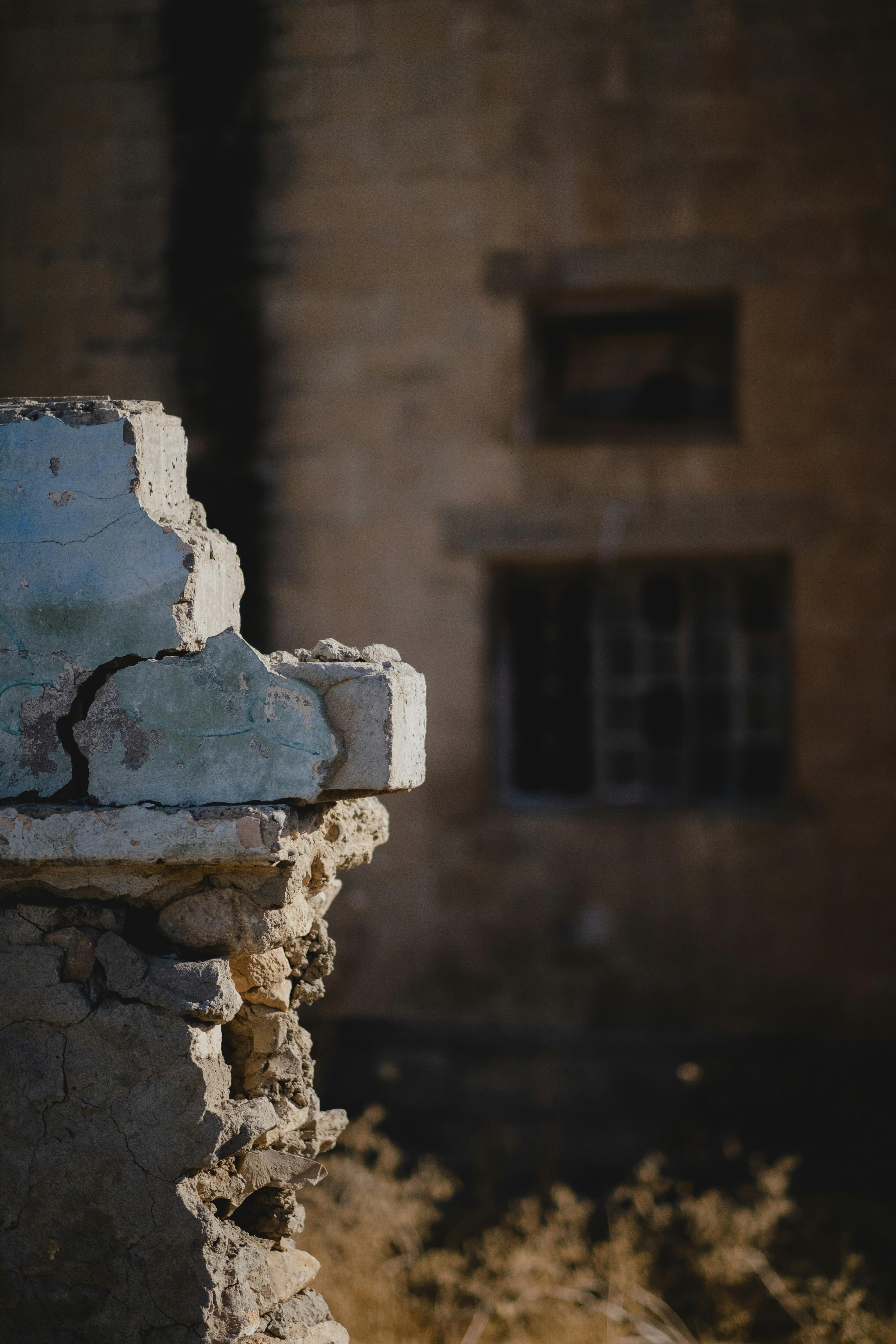 Image Credit : Unsplash